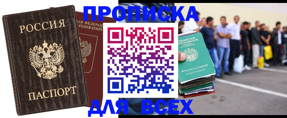 где прописаться в Коле